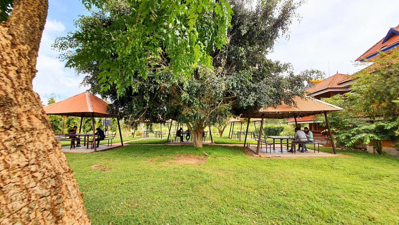 Avadale Masinagudi - Stag Groups Not Allowed Exterior photo